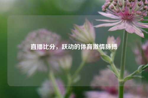 直播比分,跃动的体育 脉搏