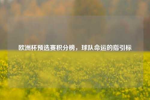 欧洲杯预选赛积分榜,球队命运的指引标
