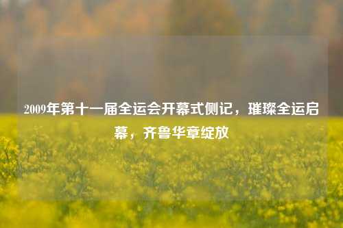2009年第十一届全运会开幕式侧记,璀璨全运启幕,齐鲁华章绽放