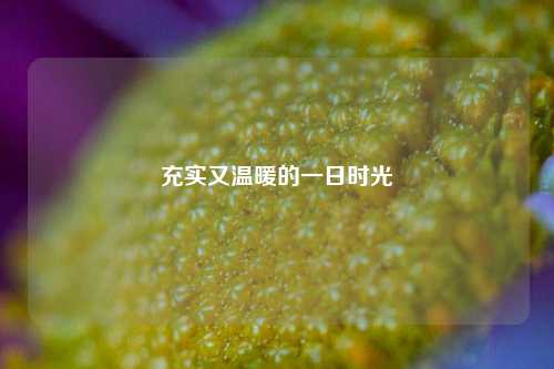 充实又温暖的一日时光