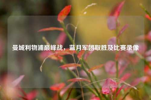 曼城利物浦巅峰战,蓝月军团取胜及比赛录像