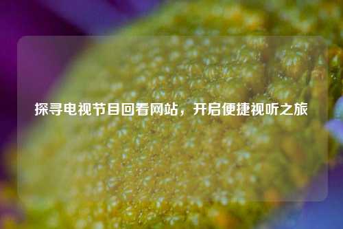 探寻电视节目回看网站,开启便捷视听之旅