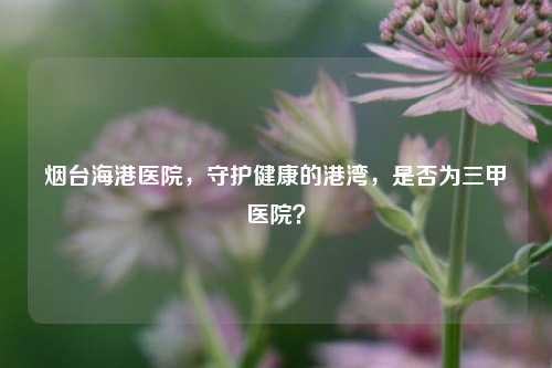 烟台海港医院,守护健康的港湾,是否为三甲医院?