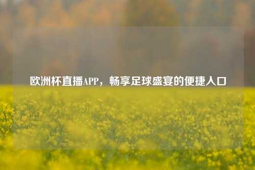 欧洲杯直播APP,畅享足球盛宴的便捷入口