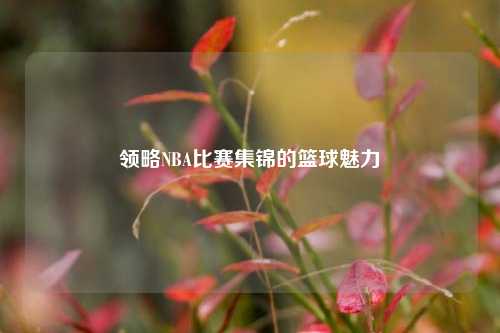 领略NBA比赛集锦的篮球魅力
