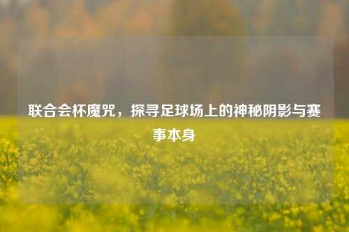 联合会杯魔咒,探寻足球场上的神秘阴影与赛事本身