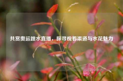 共赏奥运跳水直播,探寻观看渠道与水花魅力