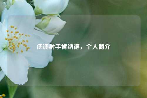 低调射手肯纳德,个人简介