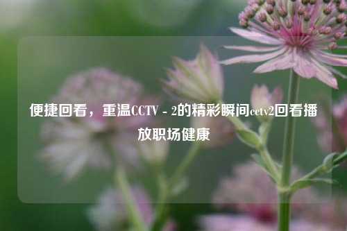 便捷回看,重温CCTV - 2的精彩瞬间cctv2回看播放职场健康