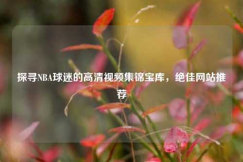 探寻NBA球迷的高清视频集锦宝库,绝佳网站推荐