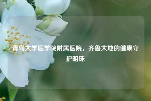 青岛大学医学院附属医院,齐鲁大地的健康守护明珠
