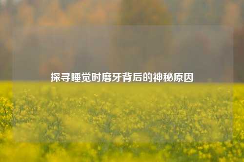 探寻睡觉时磨牙背后的神秘原因
