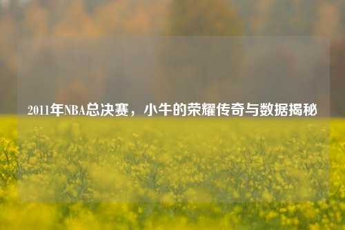 2011年NBA总决赛,小牛的荣耀传奇与数据揭秘