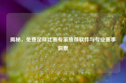 揭秘,免费足球比赛专家推荐软件与专业赛事洞察