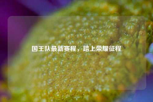 国王队最新赛程,踏上荣耀征程