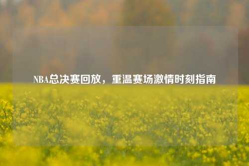NBA总决赛回放,重温赛场 时刻指南