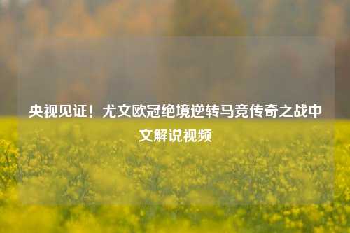 央视见证!尤文欧冠绝境逆转马竞传奇之战中文解说视频