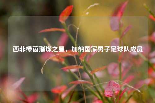 西非绿茵璀璨之星,加纳国家男子足球队成员