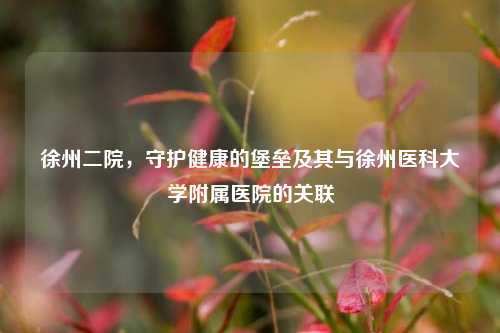 徐州二院,守护健康的堡垒及其与徐州医科大学附属医院的关联