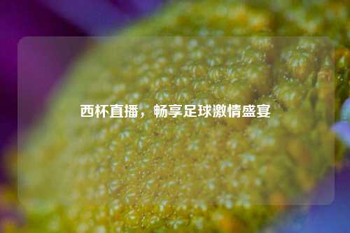 西杯直播,畅享足球 盛宴