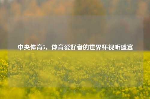 中央体育5,体育爱好者的世界杯视听盛宴