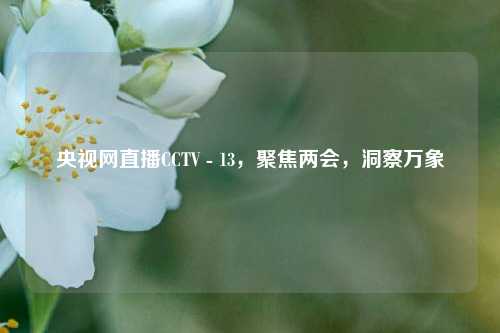 央视网直播CCTV - 13,聚焦两会,洞察万象