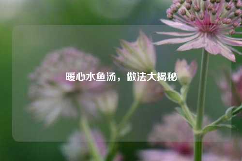 暖心水鱼汤,做法大揭秘