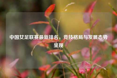 中国女足联赛最新排名,竞技格局与发展态势呈现