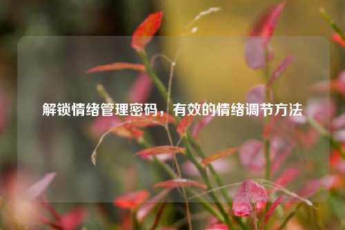 解锁情绪管理密码,有效的情绪调节