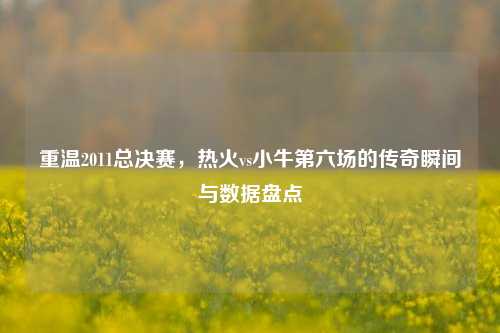 重温2011总决赛,热火vs小牛第六场的传奇瞬间与数据盘点