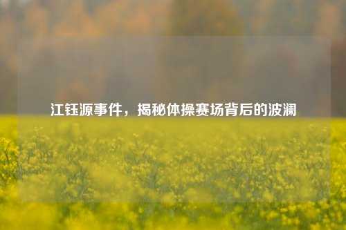 江钰源事件,揭秘体操赛场背后的波澜