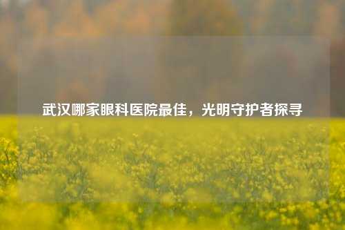 武汉哪家眼科医院更佳,光明守护者探寻