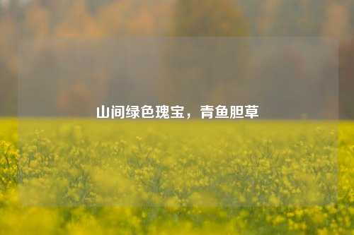 山间绿色瑰宝,青鱼胆草