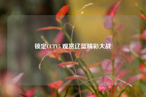 锁定CCTV5 观赏辽篮精彩大战