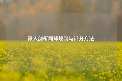 深入剖析网球规则与计分