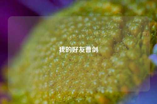 我的好友曹剑