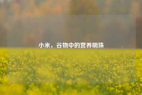 小米,谷物中的营养明珠