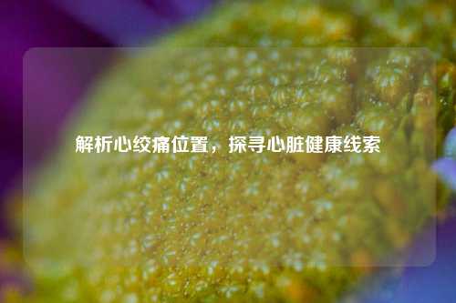 解析心绞痛位置,探寻心脏健康线索