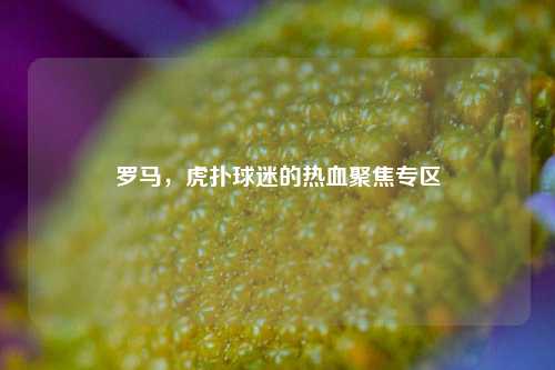 罗马,虎扑球迷的热血聚焦专区