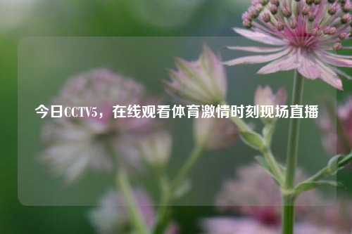 今日CCTV5,在线观看体育 时刻现场直播
