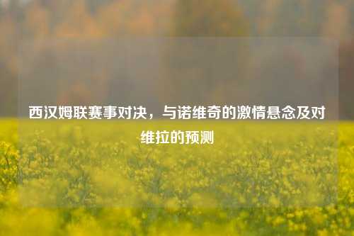 西汉姆联赛事对决,与诺维奇的 悬念及对维拉的预测