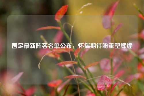国足最新阵容名单公布,怀揣期待盼重塑辉煌