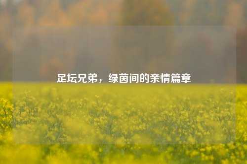 足坛兄弟,绿茵间的亲情篇章