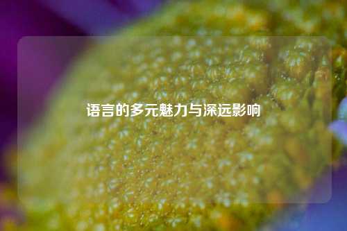 语言的多元魅力与深远影响