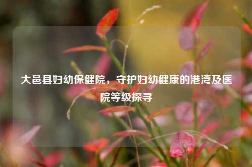 大邑县妇幼保健院,守护妇幼健康的港湾及医院等级探寻