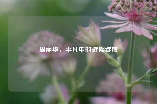 周丽华,平凡中的璀璨绽放