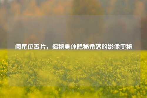 阑尾位置片,揭秘身体隐秘角落的影像奥秘