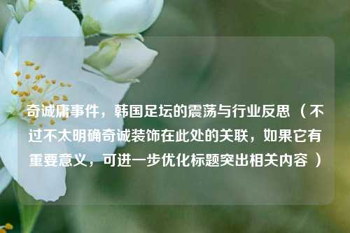 奇诚庸事件,韩国足坛的震荡与行业反思 (不过不太明确奇诚装饰在此处的关联,如果它有重要意义,可进一步优化标题突出相关内容 )