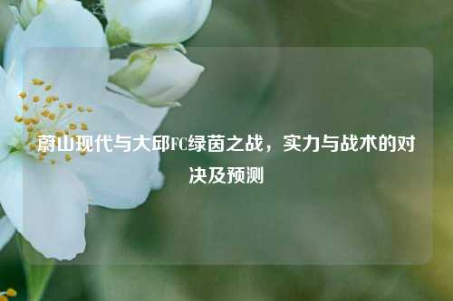 蔚山现代与大邱FC绿茵之战,实力与战术的对决及预测