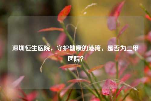 深圳恒生医院,守护健康的港湾,是否为三甲医院?